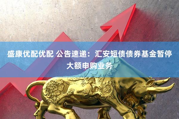 盛康优配优配 公告速递：汇安短债债券基金暂停大额申购业务