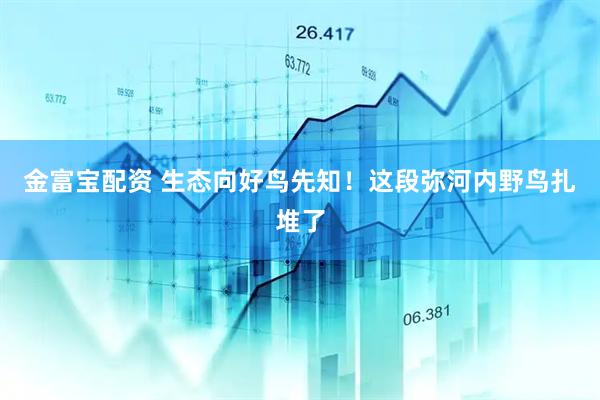 金富宝配资 生态向好鸟先知！这段弥河内野鸟扎堆了