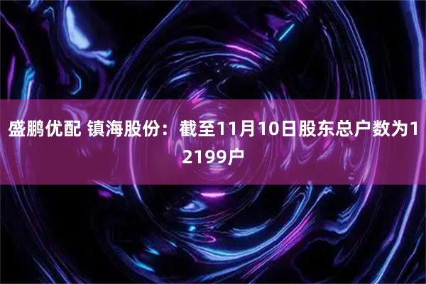 盛鹏优配 镇海股份：截至11月10日股东总户数为12199户