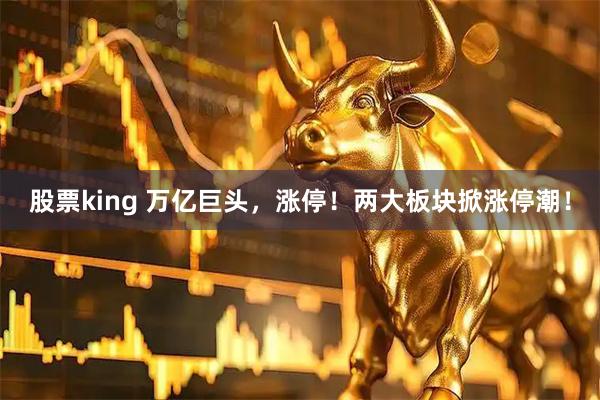 股票king 万亿巨头，涨停！两大板块掀涨停潮！