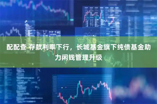 配配查 存款利率下行，长城基金旗下纯债基金助力闲钱管理升级